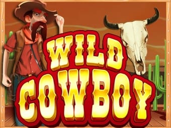 Wild Cowboy